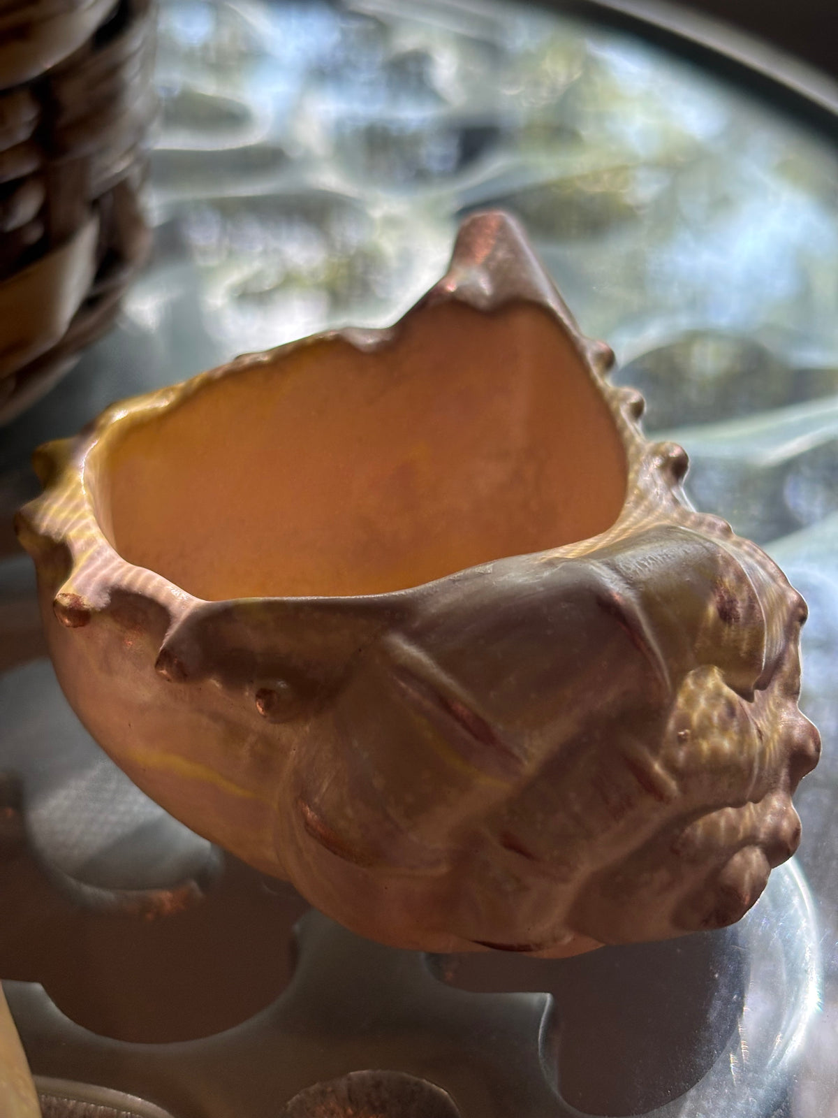Sea Whisper Shell Set | Hand-Poured Coastal Decor | Laurel & Flint
