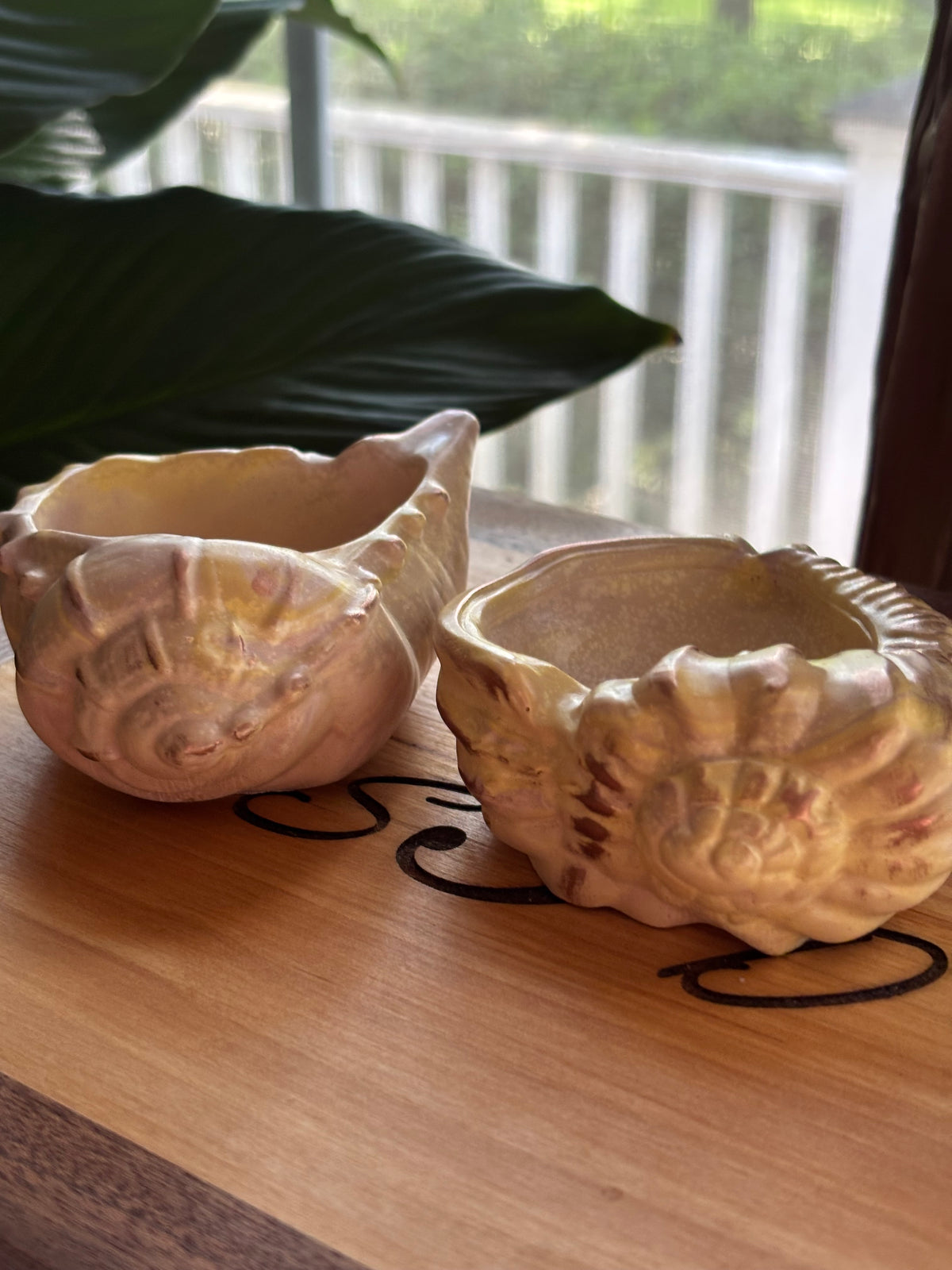 Sea Whisper Shell Set | Hand-Poured Coastal Decor | Laurel & Flint