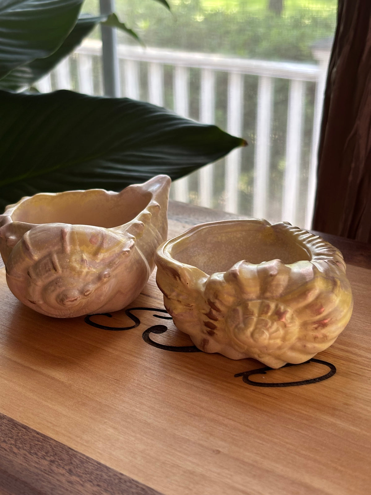 Sea Whisper Shell Set | Hand-Poured Coastal Decor | Laurel & Flint