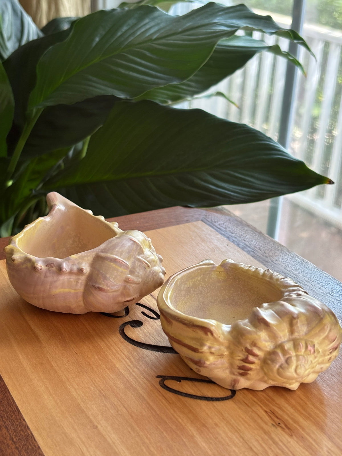 Sea Whisper Shell Set | Hand-Poured Coastal Decor | Laurel & Flint