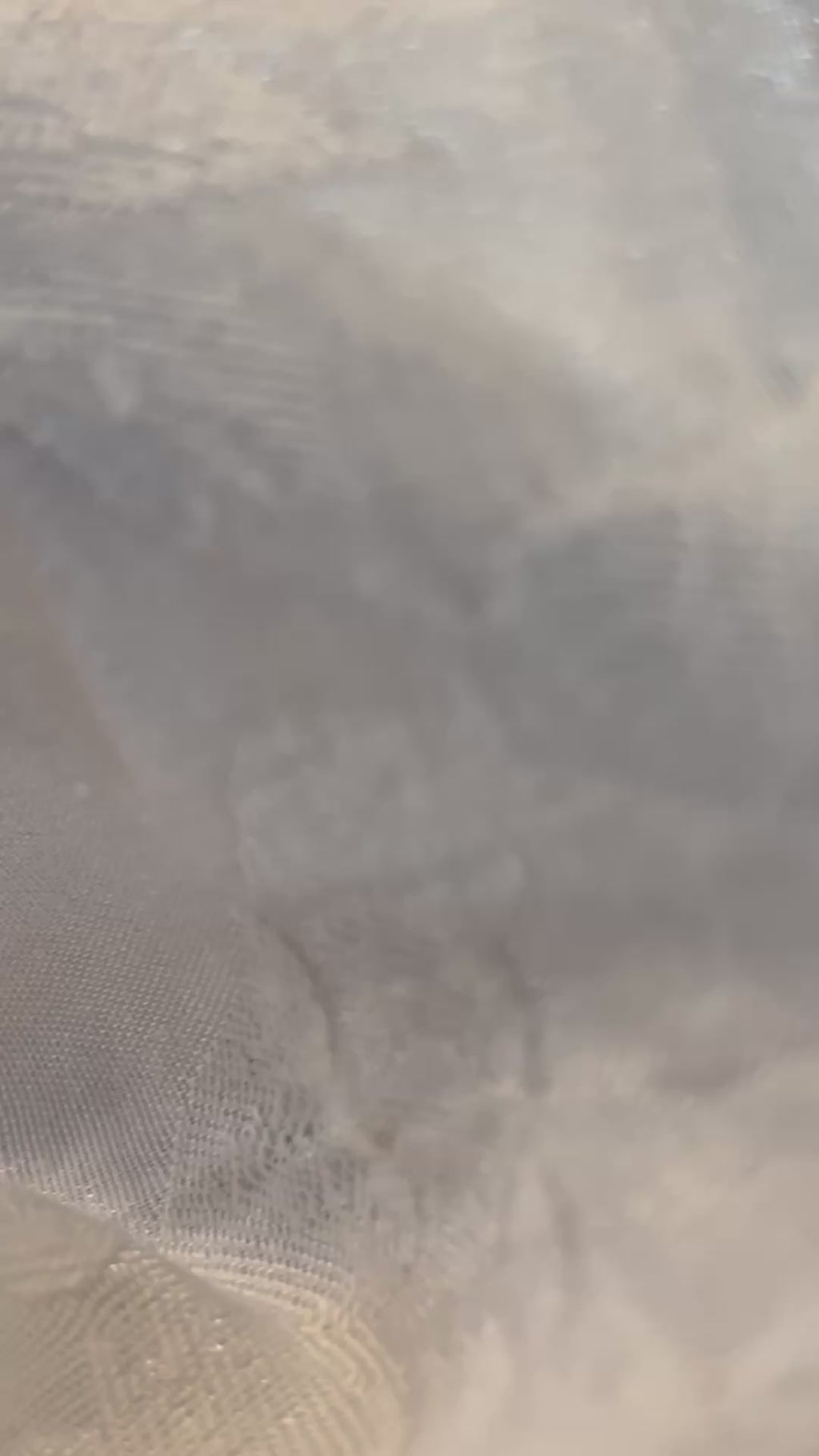 Purple Daisy Flower Dangle Earrings, Cute Floral Earrings, Spring Flower Jewelry, Pink Purple Daisy Earrings, Gift for Her