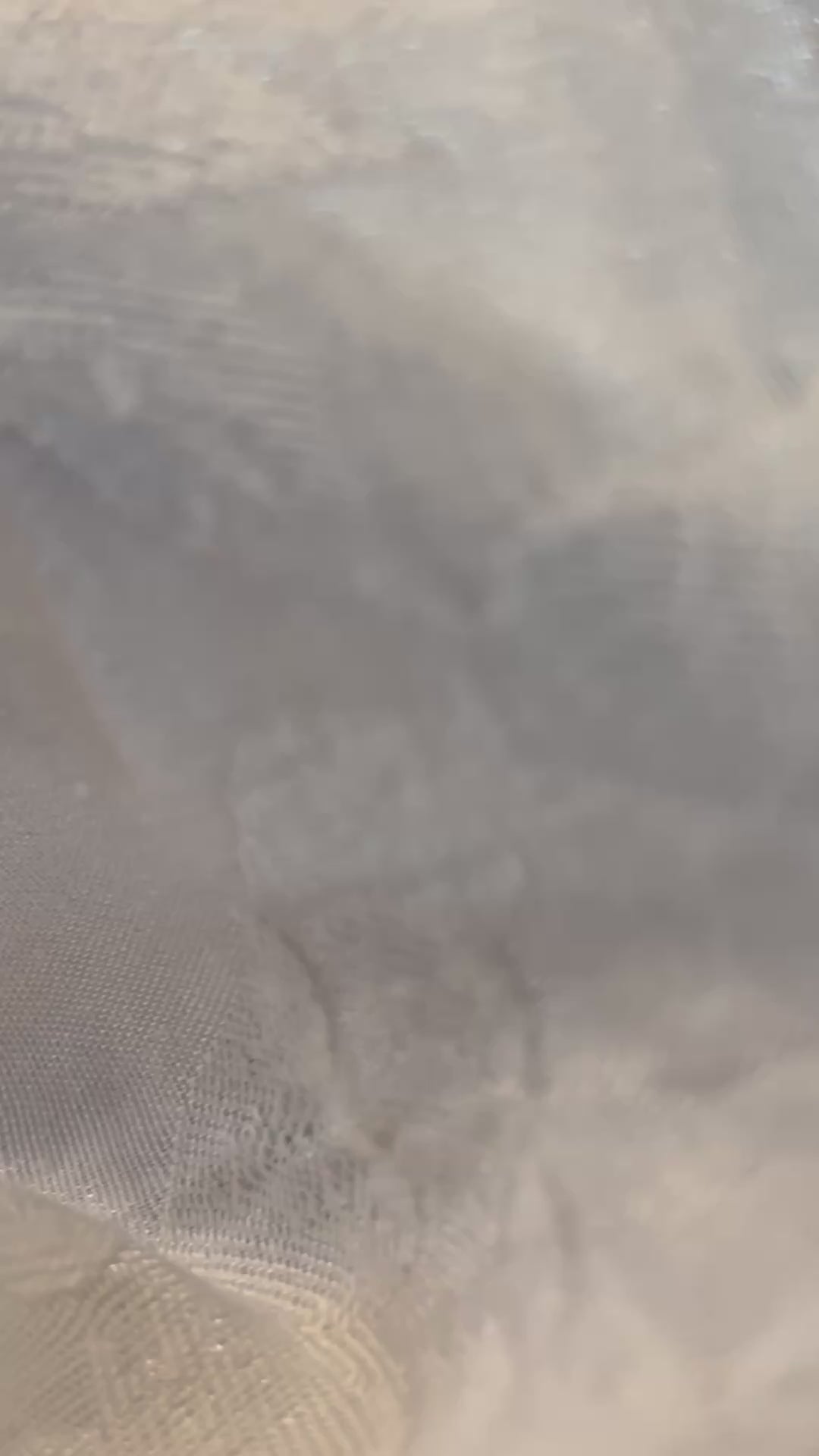 Purple Daisy Flower Dangle Earrings, Cute Floral Earrings, Spring Flower Jewelry, Pink Purple Daisy Earrings, Gift for Her